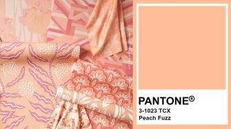 'Peachy Fuzz' el color del año 2024 de Pantone